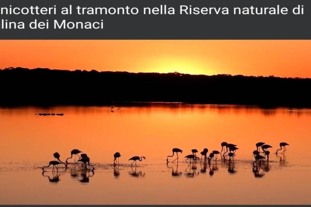 Casa Noemi Lejlighed San Pietro in Bevagna Eksteriør billede